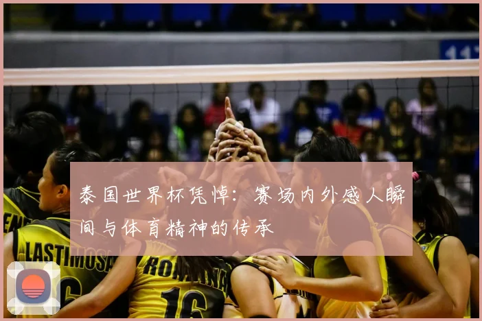 泰国世界杯凭悼：赛场内外感人瞬间与体育精神的传承